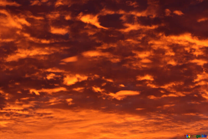Red sunset №44618