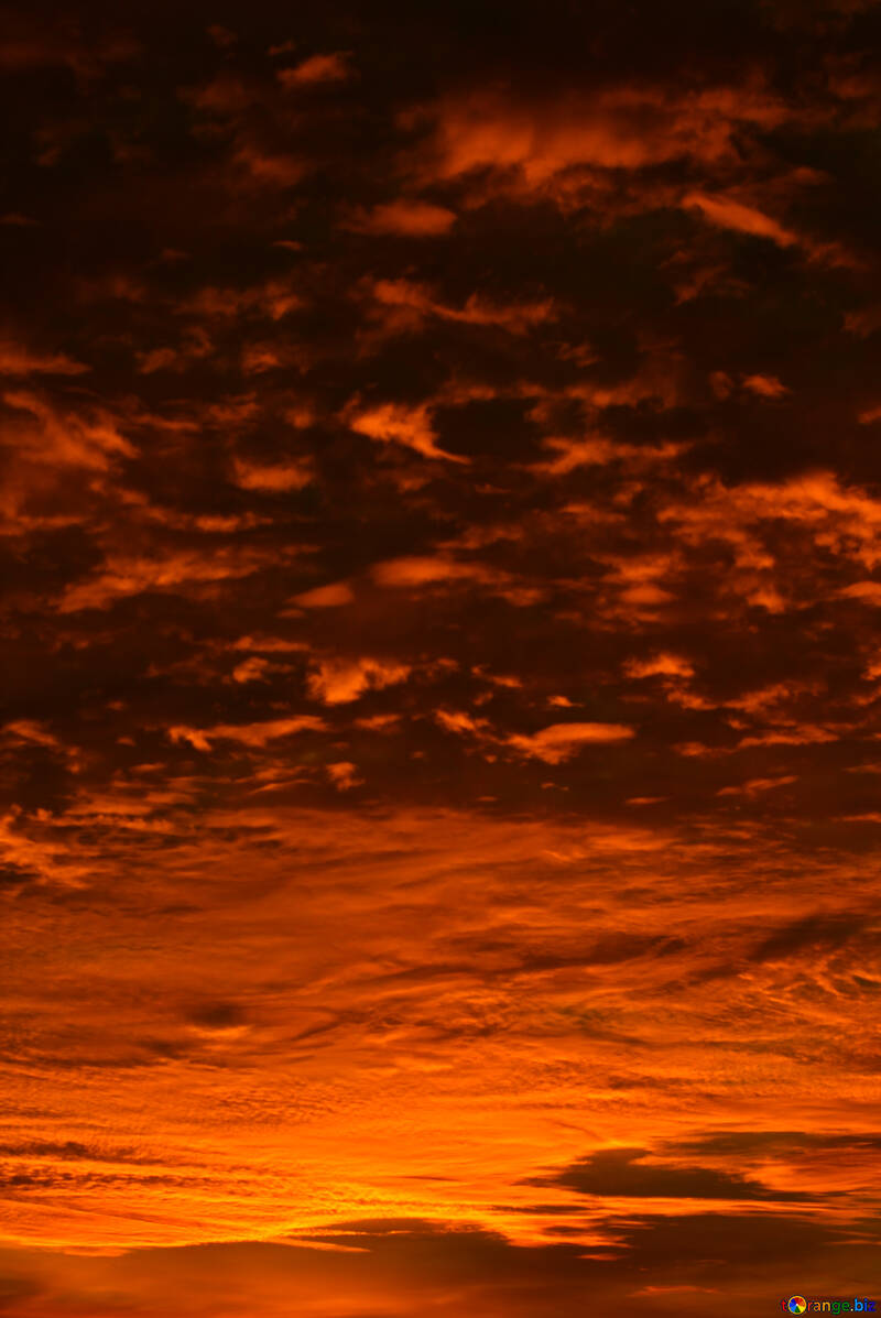 Red sunset №44623