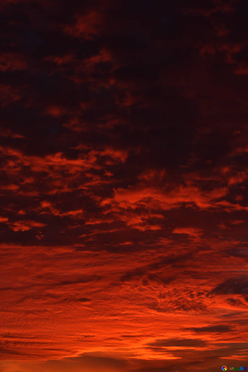 Red sunset №44625
