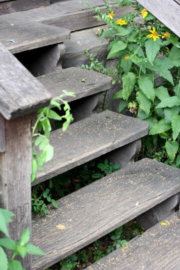 Old wooden stairs №45806