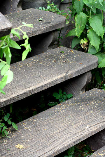 Des escaliers en bois №45804