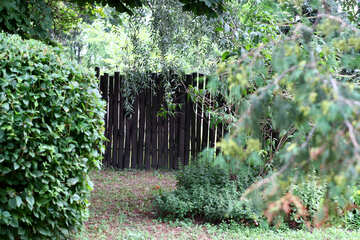 Fence in the forest №45935