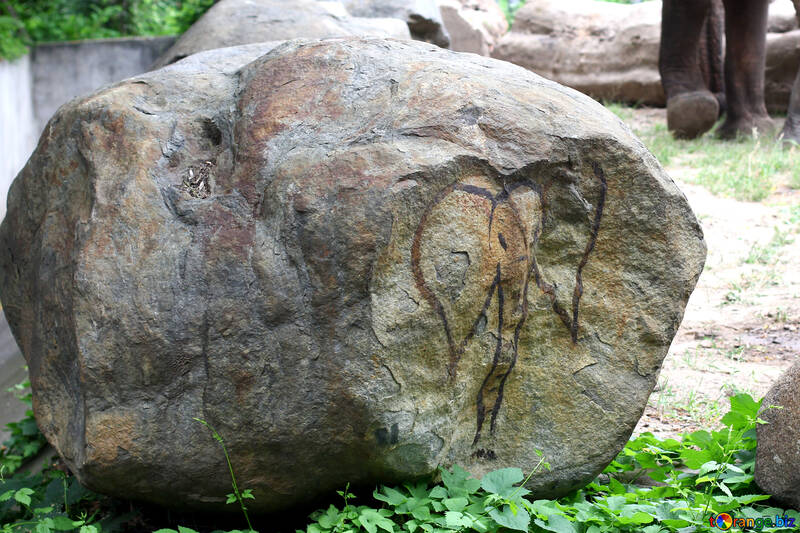 Abbildung eines Elefanten auf einem Stein №45839
