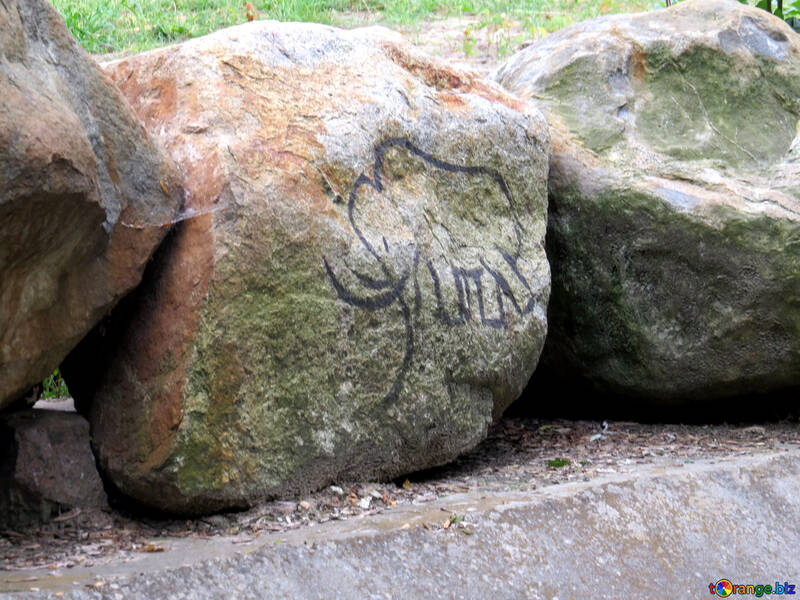 Abbildung eines Elefanten auf einem Stein №45059