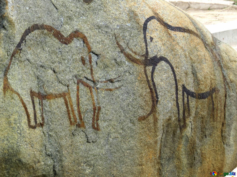 Abbildung Elefanten in Stein №45064