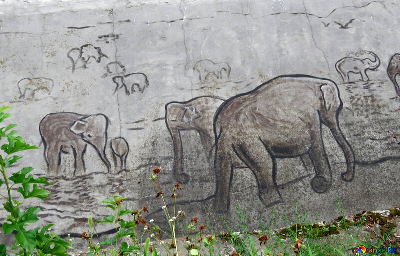 Abbildung Elefanten in Stein №45065