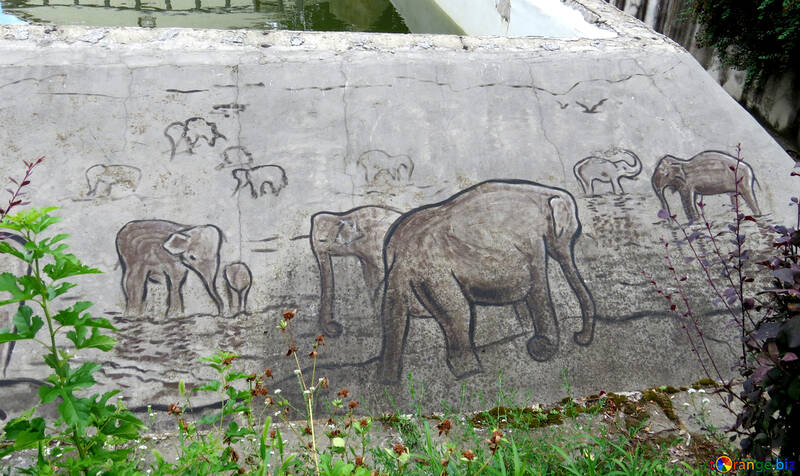Abbildung Elefanten in Stein №45066