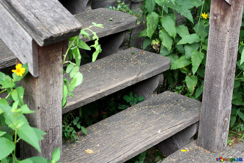 Old wooden steps №45805