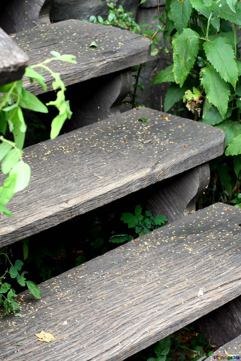 Wooden stairs №45804