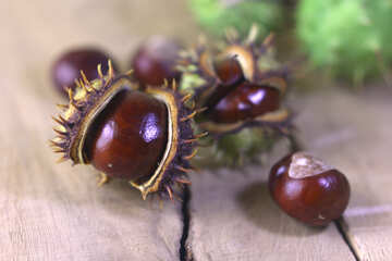 Beautiful conker on a wooden background №46469