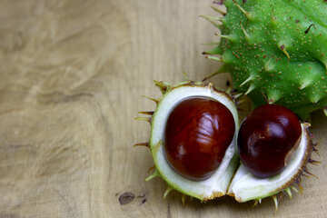 Horse chestnut on wooden background open koyuchie fruits №46352