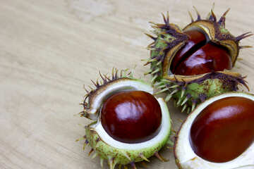 Horse chestnut on wooden background open koyuchie fruits №46354