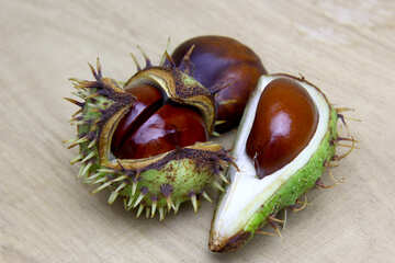 Horse chestnut on wooden background open koyuchie fruits №46355