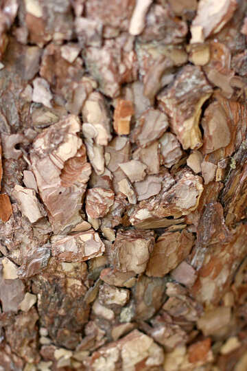 Shredded bark №46968
