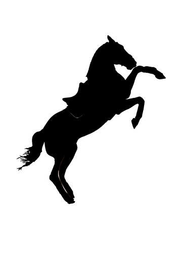 Silhouette eines Pferdes №46154