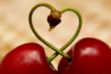 Two berries cherry heart