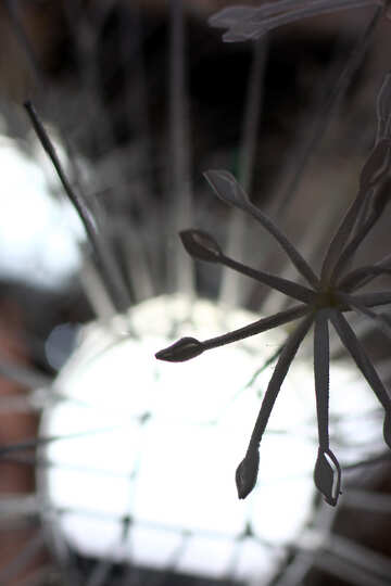Light metal dandelion №46908