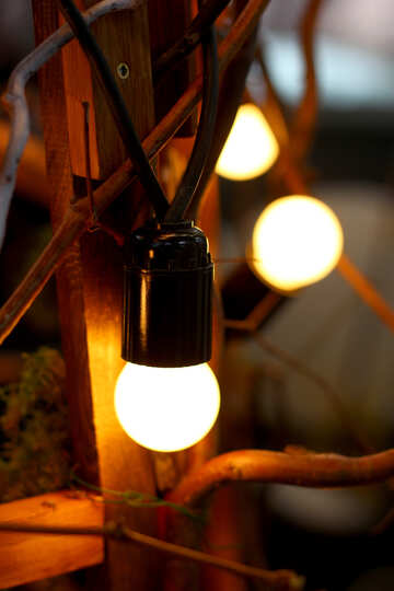 Le vecchie lampadine a incandescenza nella decorazione №46929