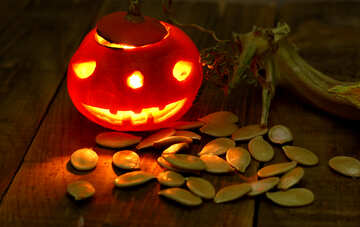 Halloween little pumpkin with seeds №46210