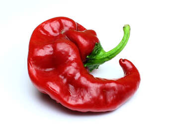 Hot red pepper №46669