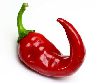 Twisted pod of red chili peppers №46639