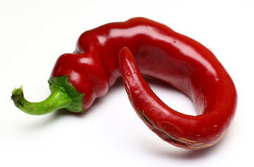 Twisted pod of red pepper №46664