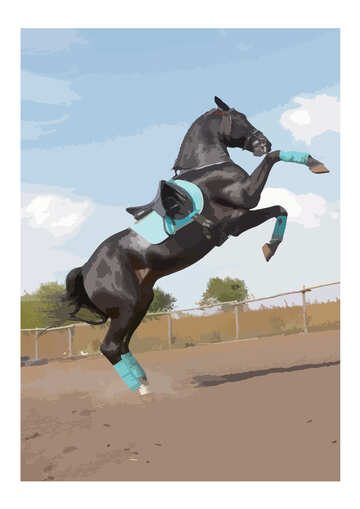 Illustrazione vettoriale allevamento fino colore silhouette cavallo №46152