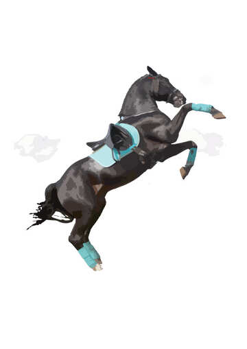Vektor-Illustration Aufbäumen Pferd Silhouette Farbe №46153