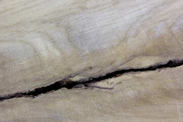 A crack in the wood №46419