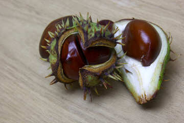 Horse chestnut on wooden background open fruit №46361