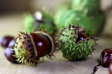 Horse-chestnut fruit on wooden background №46473