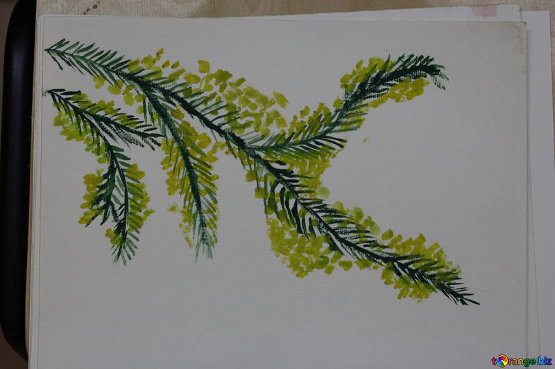 Per bambini di disegno fiori di mimosa №46301