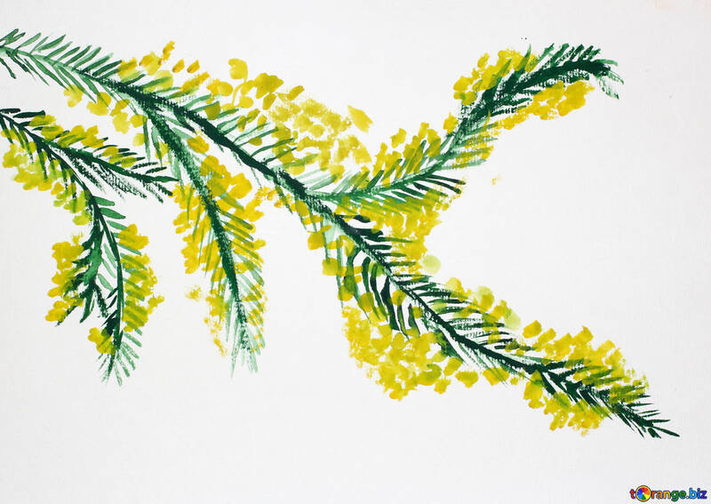 Children`s drawing a sprig of mimosa №46288