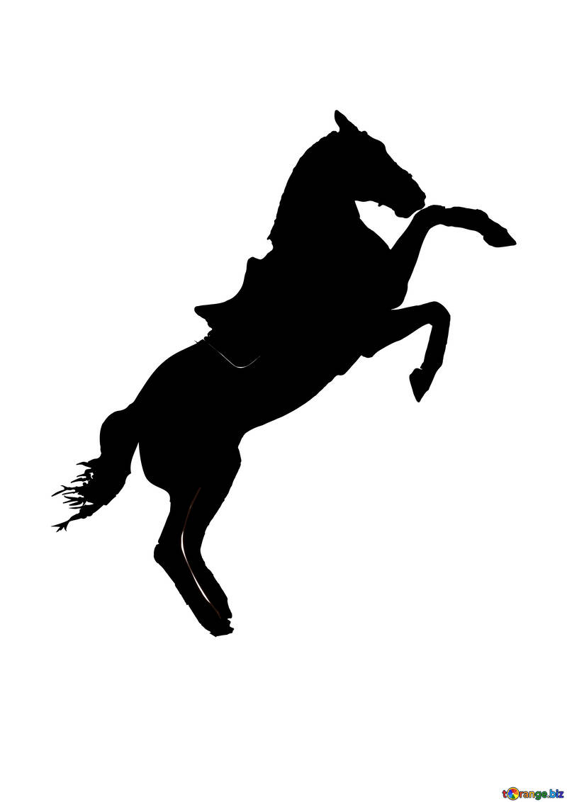 Silhouette di un cavallo №46154