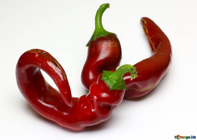 The curved pod of red pepper №46666