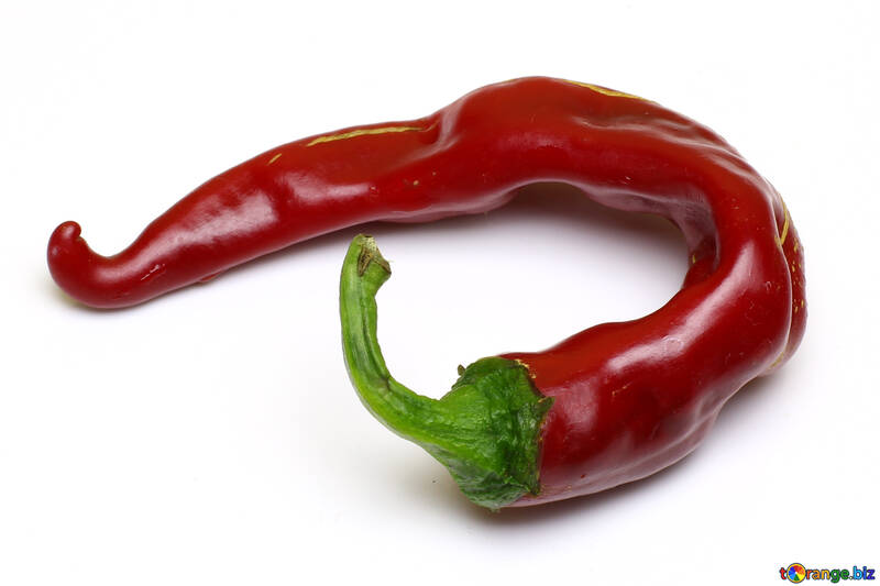The pod of red pepper №46643