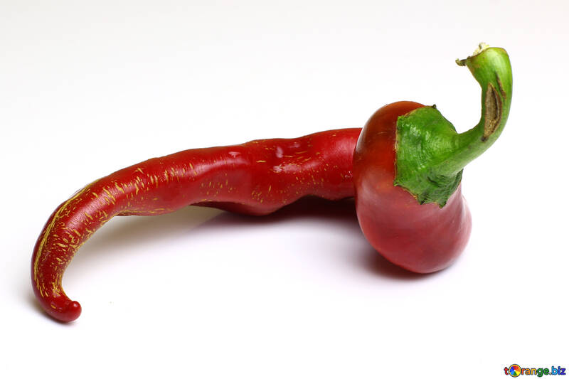 The pod of red pepper №46653