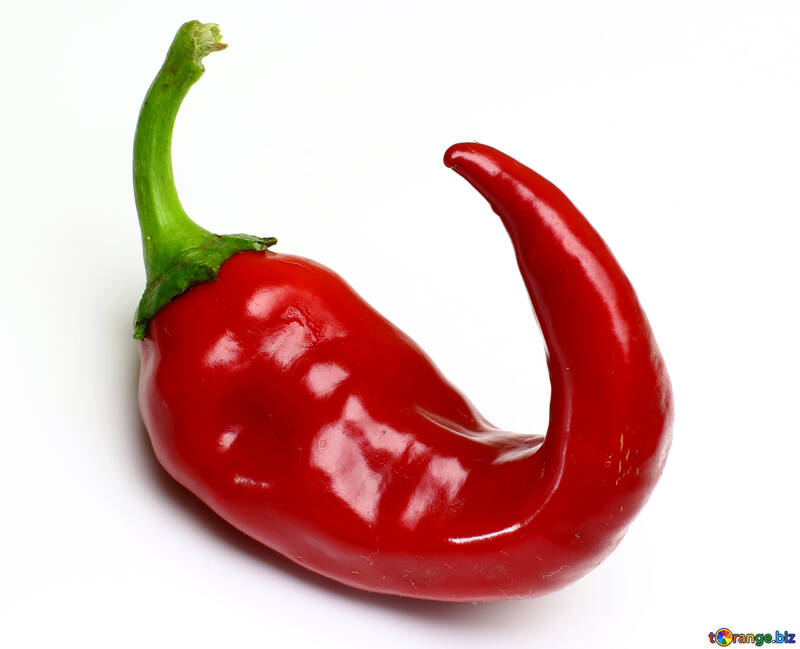 Twisted pod of red chili peppers №46639