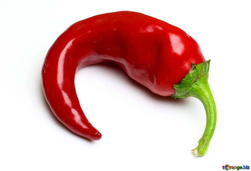 Twisted pod of red chili peppers №46641