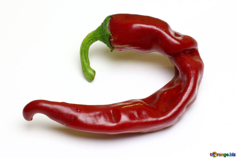 Twisted pod of red chili peppers №46644