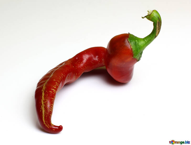 Twisted pod of red chili peppers №46654