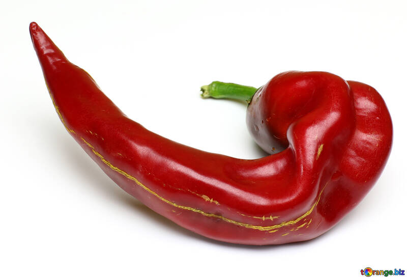 Twisted pod of red chili peppers №46662