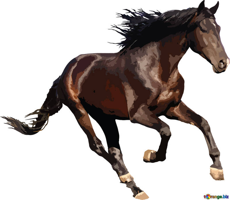 Horse runs vector isolated №46150