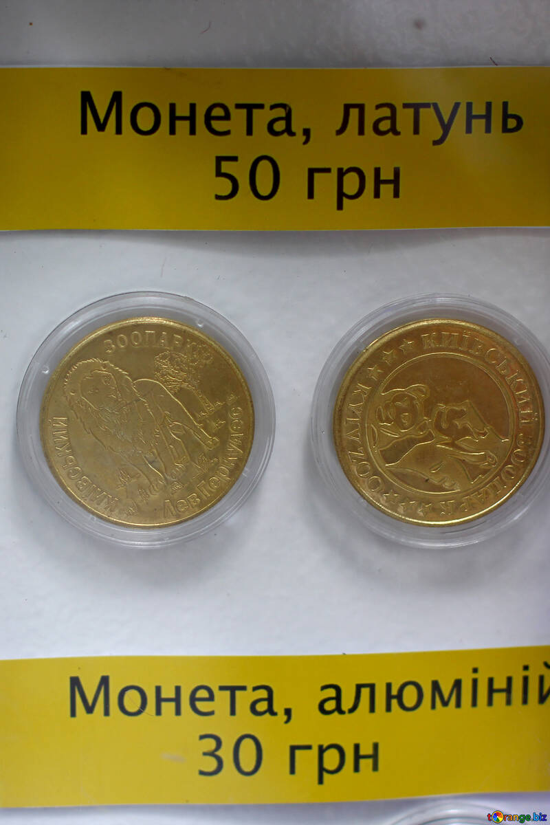 Souvenir coins №46101