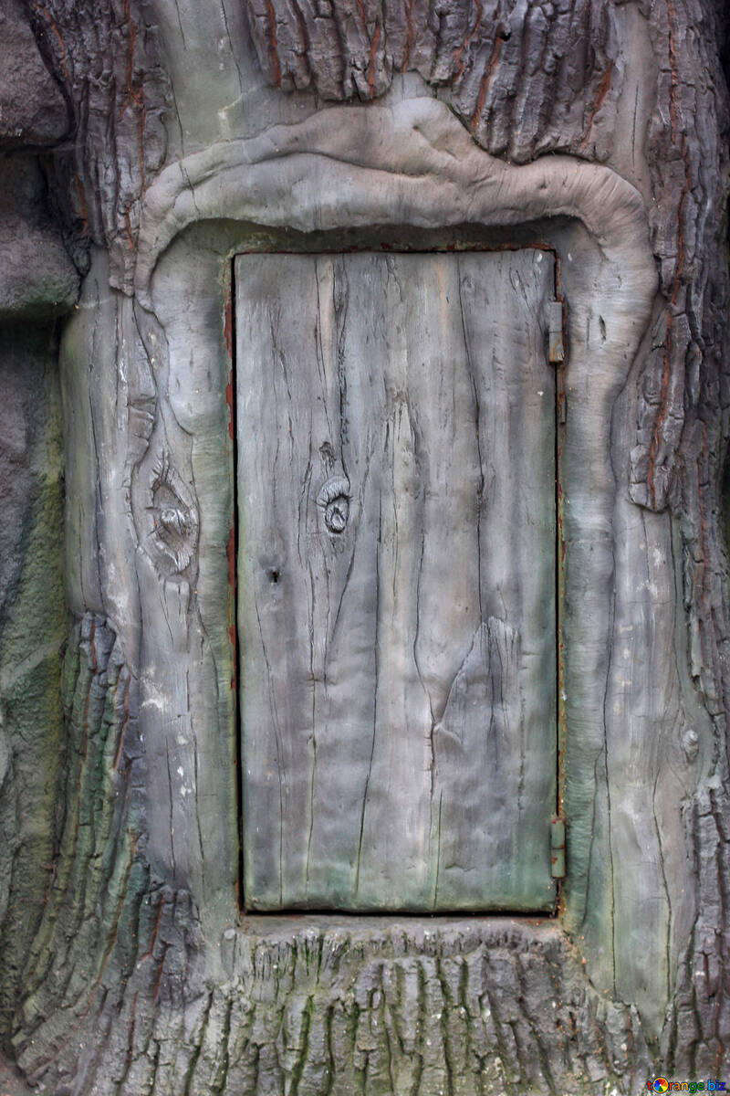 Door in treeo №46054