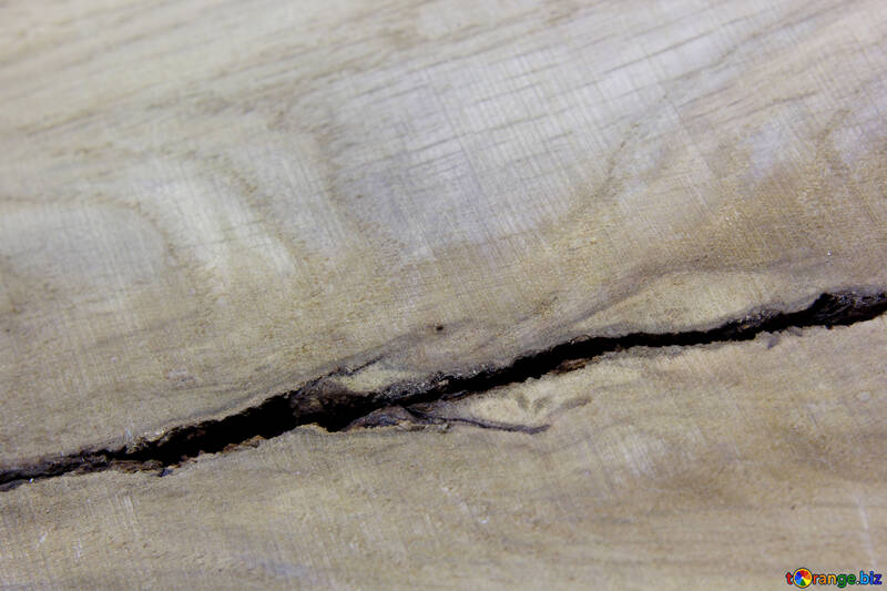 Una grieta en la madera №46419