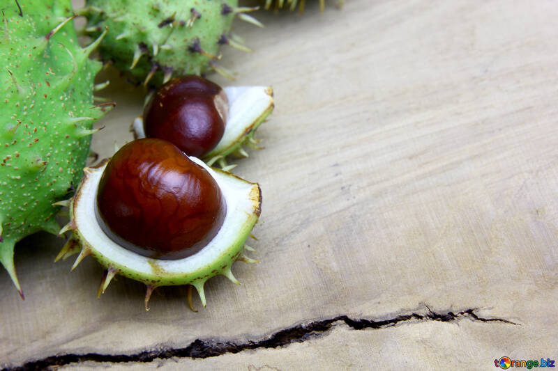Horse chestnut on wooden background open koyuchie fruits №46353