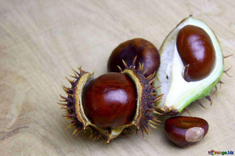 Horse chestnut on wooden background open koyuchie fruits №46356