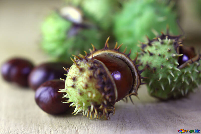 Horse-chestnut fruit on wooden background №46471