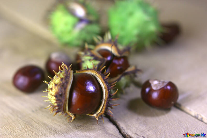 Beautiful conker on a wooden background №46467